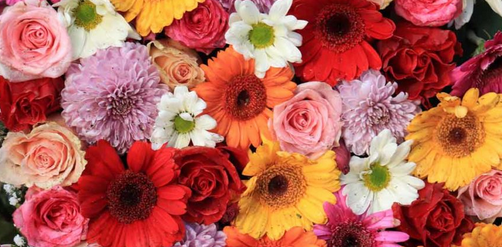 Captura de Tela 2020-08-27 às 10.24.31 AM